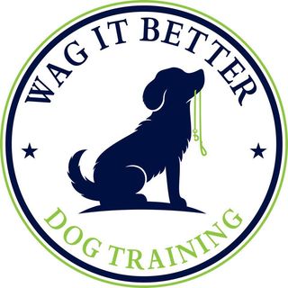 Wag It Better Dog Training and Boutique